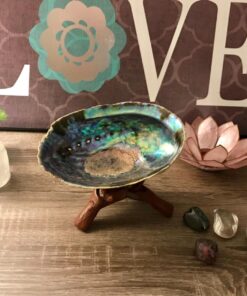Natural Abalone (Pāua) Shell, with Stand,6-6.5 Inches,Supreme for Smudging,Cleansing Home,Meditation,Shell Crafts,Incense Holder,100% Natural, Sustainably Sourced by Ocean Shell Studios NZ 6"-6.5" 30 71e5QzBeJrL