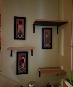 MHMYDZ 4 Pcs Black Steel Heavy Duty"L" Corner Brace Joint Angle Bracket Shelf Bracket Wall Hanging with Screws 125mmX75mm/5 InchX3 Inch Decorative Corner Brackets Joint Angle Bracket 4 Pack(Balck) 32 71e7Gz0KS L