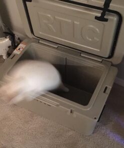 RTIC 45 qt Hard Cooler Insulated Portable Ice Chest Box for Beach, Drink, Beverage, Camping, Picnic, Fishing, Boat, Barbecue Tan 45 Quart 47 71e7JKDuOLL