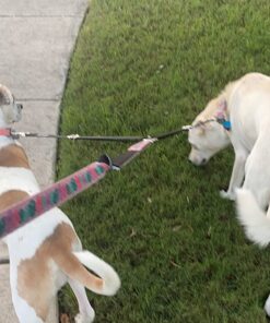 Vastar Double Dog Walker, Adjustable Heavy Duty Double Dog Leash for Pets, No Tangle Two Dogs Training Leash for Dogs up to 110 Pounds, Premium Quality Dog Leash Coupler for 2 Dogs Black 21 71e8VNkXUVL