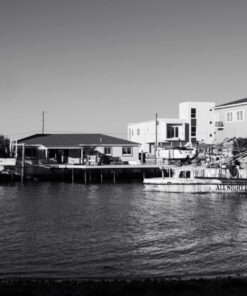 52MM 0.43x Altura Photo Professional HD Wide Angle Lens (w/Macro Portion) for Nikon D7100 D7000 D5500 D5300 D5200 D5100 D3300 D3200 D3100 D3000 DSLR Cameras 52MM 64 71e8kfin1aL