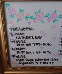 Dry Erase Markers for Whiteboard – Ultra Fine Tip White Board Markers – Dual Tip, Pastel Colors - Fine Point Erasable Markers - 12 Set 42 71eAXLgV8L