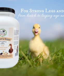 FRESH EGGS DAILY Brewer's Yeast with Garlic Powder and Niacin for Ducks Feed Supplement Vitamins for Backyard Chickens 5LB 10 71eDxuCoaEL