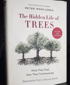The Hidden Life of Trees: What They Feel, How They Communicate―Discoveries from A Secret World (The Mysteries of Nature, 1) 19 71eFNuhJ01L