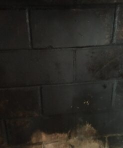 Savogran 10622 Trisodium Phosphate (TSP) 4.5lbs 32 71eFeVSK74L