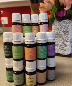 Essential Oil Set 14-5 ml Therapeutic Grade 100% Pure Frankincense, Lavender, Peppermint, Rosemary, Orange, Tea Tree, Eucalyptus, Grapefruit, Lemon, Lime, Clove, Spearmint, Lemongrass, Cinnamon 39 71eHHbubjHL
