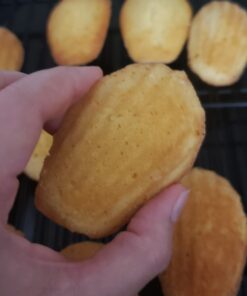 USA Pan Bakeware Madeleine Pan, 16-Well, Aluminized Steel 42 71eHy03vSiL