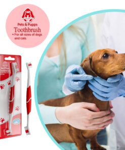 Pet Toothbrush for Dogs, Cats with Soft Bristles - Easy Teeth Cleaning & Dental Care, Non Slip Dual Head Dog Toothbrush - Choose Your Pack (Pack of 2) 2 Count (Pack of 1) 10 71eLYfBT2nL