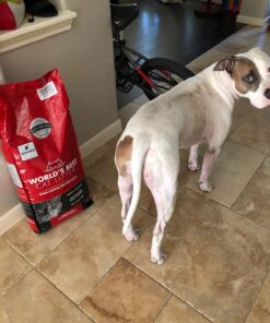 World's Best Cat Litter, Clumping Litter Formula for Multiple Cats, 28-Pounds 32 71eQLfG7fJL