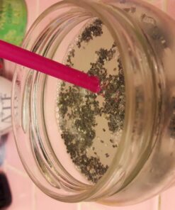 Healthworks Chia Seeds Raw (32 Ounces / 2 Pounds) | Premium & All-Natural | Contains Omega 3, Fiber & Protein | Great with Shakes, Smoothies & Oatmeal Chia Seed 2 Pound (Pack of 1) 29 71eQfr3L14L