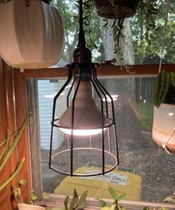 Newhouse Lighting WLG1B Ca Metal Guard for Ceiling Fan, Pendant String Light and Vintage Lamp Shades/Cover, Industrial Wire Fixture Iron Bird Cage, 1 Count (Pack of 1), Black 1 Count (Pack of 1) 36 71eSkMmckIL