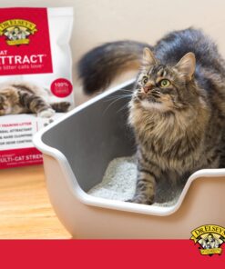 Dr. Elsey's Premium Clumping Cat Litter - Cat Attract - 99% Dust-Free, Low Tracking, Hard Clumping, Superior Odor Control, Natural Herbal Attractant, Unscented & Natural Ingredients, 40 lb 40 Lb / 18.14 Kg 26 71eTlPuMRL