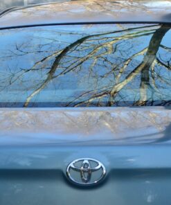 Amazon Basics Circular Polarizer Camera Lens Filter - 67 mm 49 71eTq5iwOL