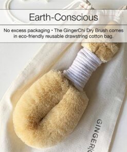 Ginger Chi Dry Brush for Skin, Dry Brushes for Body - Natural Bristle Brush for Dry Brushing Skin (Sisal Dry Brush) 21 71eU9 IFQgL