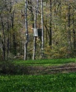 Whitetail Institute Secret Spot Deer Food Plot Seed - Annual Forage Designed Specifically for Smaller, Remote Food Plots - Can Be Planted with Hand Tools 4 lbs (9000 sq ft) 15 71eVuEdwUL