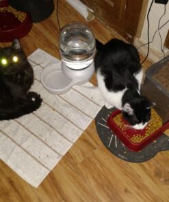 Hill's Science Diet Dry Cat Food, Light Adult, Hairball Control, Light for Healthy Weight & Weight Management, Chicken Recipe, 15.5 lb. Bag 15.5 Pound (Pack of 1) 29 71eW1mS4CiL