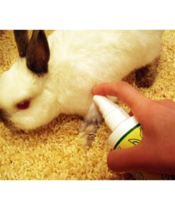 Grannick's Bitter Apple for Dogs Spray Bottle, 16 Ounces, Golds & Yellows (1116AT) 16 Ounces (Pack of 1) 29 71eWAAt2M8L