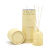 Paddywax Petite Collection Scented Oil Reed Diffuser, Mini - 1.5-Ounce, Yellow-Meyer Lemon Yellow - Meyer Lemon 40 71eX69lxQjL