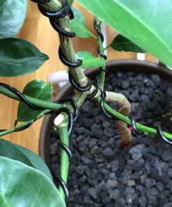 Anodized Aluminum Bonsai Training Wire 5-Size Starter Set with Canvas Bag - 1.0mm, 1.5mm, 2.0mm, 2.5mm, 3.0mm (147 feet total) - Choose Your Color (5 Sizes, Black) 5 Sizes 30 71eXN5 7ZL