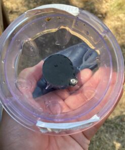 Intex Handheld Rechargeable Vacuum with Telescoping Aluminum Shaft and Two Interchangeable Brush Heads , Gray/Black 46 71eXT80zTtL