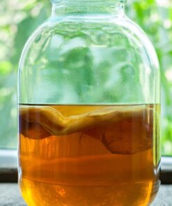 Solstice Kombucha Loose Leaf Black and Green Tea 50/50 Blend, Keemun Black & China Young Hyson Green Tea for Brewing Kombucha (8-Oz Total) hyson green / keemun black 8 Ounce (Pack of 1) 13 71eXc 1hREL