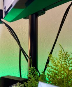 WALI Dual LCD Monitor Fully Adjustable Desk Mount Stand Fits Two Screens up to 27 inch, 22 lbs. Weight Capacity per Arm (M002), Black 57 71ecUKE8lfL