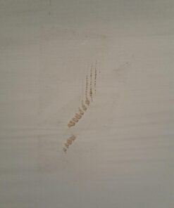 Utopia Bedding Premium Zippered Mattress Encasement (Fits 10 Inches Mattress, King) - Waterproof and Bed Bug Proof Mattress Protector - Six-Sided Mattress Cover 10" Deep 44 71efvWl911L