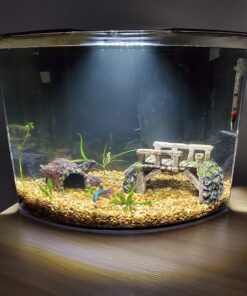 Tetra Crescent aquarium Kit 5 Gallons, Curved-Front Tank With LEDs,black 5-Gallon 24 71egoM02eLL