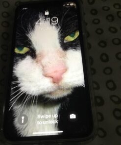 Spigen Ultra Hybrid Designed for iPhone Xs Case (2018) / Designed for iPhone X Case (2017) - Crystal Clear 67 71egy10WzHL