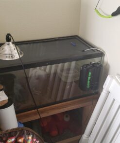 Zoo Med Reptirain Automatic Habitat Mister, 12" L X 11.5" W X 5.5" H 12 IN 16 71ehK5Ttr6L