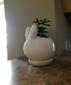 MyGift Mini Ceramic Bunny Planter, Decorative Rabbit Design White Small Flower Pot Succulent Planter with Detached Saucer 27 71ei8 bZvqL