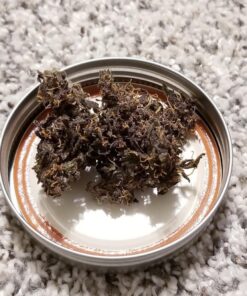 AgroMagen, GrowSafe Bio-Pesticide For Spider, Organic Natural Miticide, Fungicide and Insecticide, (8.5 fl.oz.) 8.5 Fl Oz (Pack of 1) 37 71ek5ff97UL