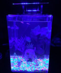 MarineLand Contour Glass Aquarium Kit with Rail Light 3-gallon 42 71elE3NtZ4L