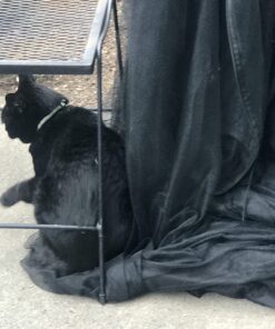 Ideaworks Umbrella Table Screen 9 Feet 34 71emK8 b5L