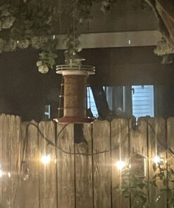 Cole's FS16 Flaming Squirrel Seed Sauce, 16-Ounce 1 29 71emuIGGXAL