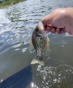 INTEX Excursion Inflatable Boat Series: Includes Deluxe 54in Aluminum Oars and High-Output Pump – SuperStrong PVC – Adjustable Seats with Backrest – Fishing Rod Holders – Welded Oar Locks 4-Person 46 71en SAz7cL