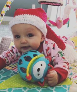 Skip Hop Baby Rattle Toy, Explore and More Roll Around Rattle, Hedgehog 43 71en3OtwrZL