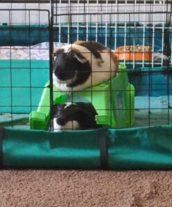 MidWest Homes for Pets Canvas Bottom (Replacement Part) for Guinea Pig Habitat Model 171GH & Guinea Pig Habitat 'Plus' Model 171GHP 47.3"L x 23.8"W x 4.3"H 23 71eoZKlMXL