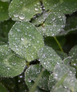 Tamron SP 150-600mm F/5-6.3 Di VC USD G2 for Nikon Digital SLR Cameras 63 71epLv8brvL