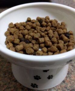 Necoichi Raised Cat Water Bowl, Elevated, with Measurement Lines, Dishwasher and Microwave Safe (Cat, Regular) 39 71eqEBG323L