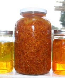 Berry Beautiful Raspberry Seed Oil - For Skin, Hair, and Nails - Cold Pressed, Unrefined, 100% Pure and Locally Grown - 4 fl oz 4 Fl Oz (Pack of 1) 10 71etCVMWt L