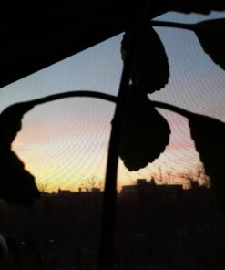 Espoma Organic Potting Soil Mix - All Natural Potting Mix For All Indoor & Outdoor Containers Including Herbs & Vegetables. For Organic Gardening, 8qt. bag. Pack of 1 46 71ettvcm8xL