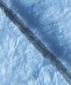 Beileshi 60x Zoom Microscope Magnifier LED + Uv Light Clip-on Micro Lens for Universal Mobile Phones Universal Clamp for iPhone 7s Plus/7s/7/7plus/ 6 6s 6Plus/ 5 Samsun/HTC 41 71evUF47FUL