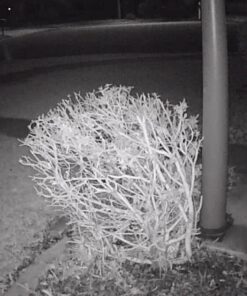 Zmodo Outdoor Security Cameras Wifi - 1080p Full HD Surveillance Cameras for Home Security with Night Vision, IP 66 Weatherproof, Plug-In, Motion Detection, 4 Pack 4 Count (Pack of 4) 50 71f kEEbLuL