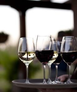 Schott Zwiesel 0007.120171 White Wine Glass, 1 Count (Pack of 1), Clear 16 71f0lmeRC8L