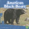 American Black Bears (First Facts) 5 71f1O1EA1pL