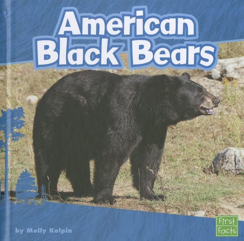 Catalog 7 American Black Bears (First Facts)