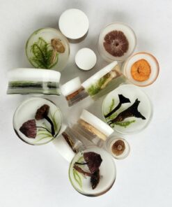 Environmental Technology 46345 Casting Resin, 0.5 Liters, Opaque 36 71f1f5m3iCL