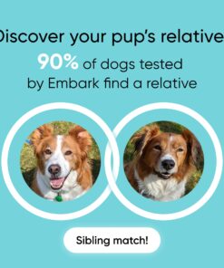 Embark Breed Identification Kit | Most Accurate Dog DNA Test | Test 350+ Dog Breeds | Breed ID Kit with Ancestry & Family Tree 34 71f1hvNubL