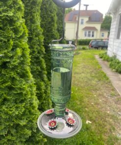 Perky-Pet 8108-1SR Antique Glass Bottle Hummingbird Feeder - Outdoor Garden Décor - 10 Oz Green Bottle 21 71f1puxlc0L